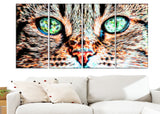 Windows to the Soul - Cat Eyes Canvas Art PT2411