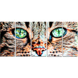 Windows to the Soul - Cat Eyes Canvas Art PT2411