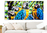 Parrot Party - Canvas Art PT2423