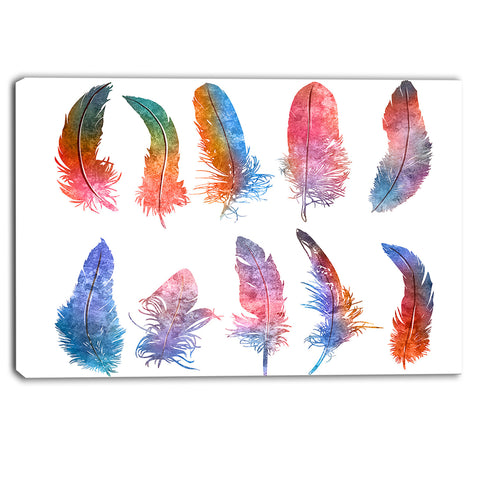 rainbow feathers, raster illustration floral canvas art print PT6136