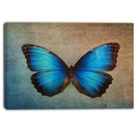 blue vintage butterfly floral canvas art print PT6282