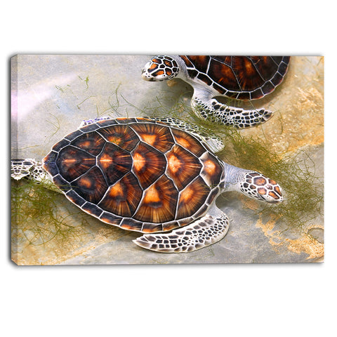 sea turtles in nursery animal canvas print PT6319