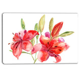 lily flowers illustration floral canvas print PT6366