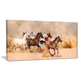 herd gallops in sand storm photography canvas art print PT6456