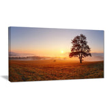 lonely tree at sunset landscape photography canvas print PT6485