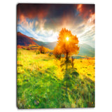 lonely autumn tree landscape canvas art print PT6519