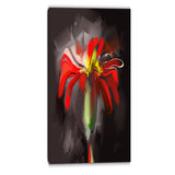 abstract red flower floral art print on canvas PT6671