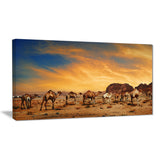 camels in wadi rum photography canvas art print PT6727