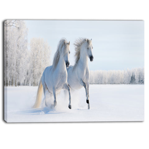 two galloping white ponies animal photo canvas print PT6771