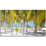 palm trees landscape photography canvas art print PT6777