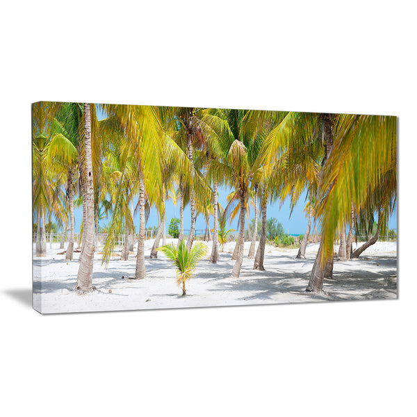 palm trees landscape photography canvas art print PT6777