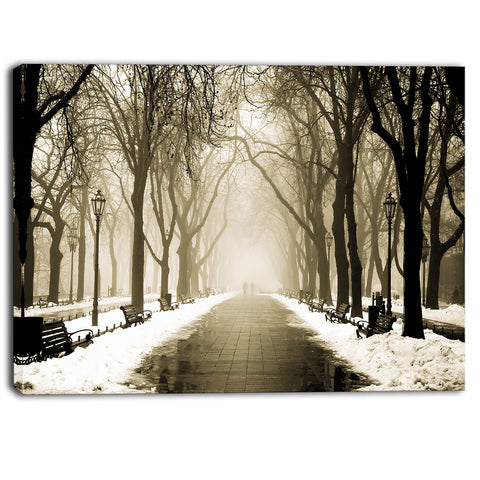 fog in alley vintage style landscape photo canvas print PT6778