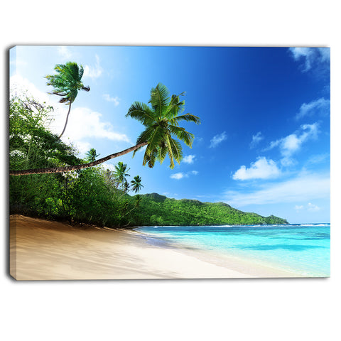 sunset beach with palm landscape photography canvas print PT6795