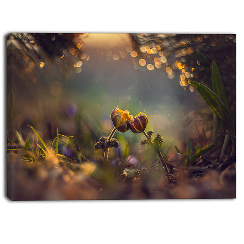 two spring flowers floral photography canvas print PT6925