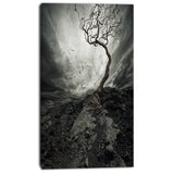 Lonely Tree under Dramatic Sky Landscape Canvas Print