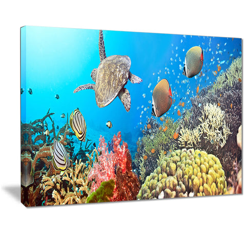undersea panorama photography canvas print PT7066