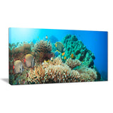 underwater panorama photography canvas art print PT7069