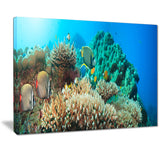 underwater panorama photography canvas art print PT7069