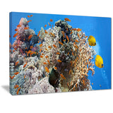 coral scene panorama photo canvas art print PT7083