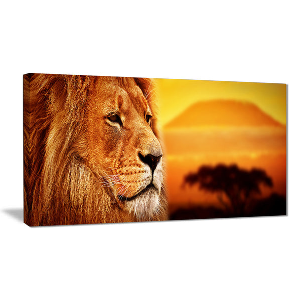 lion portrait on savanna animal photo canvas print PT7153