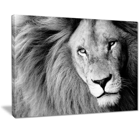 lion head in grey animal digital art canvas print PT7160