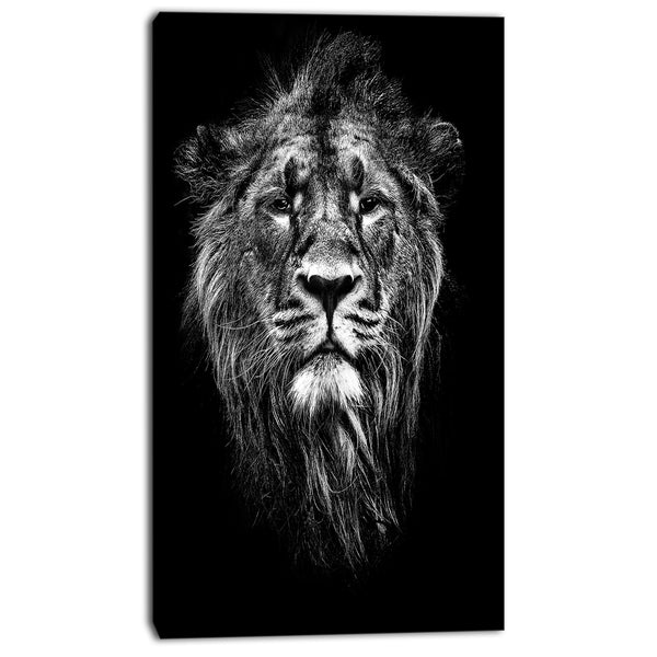 male asiatic lion animal digital art canvas print PT7163