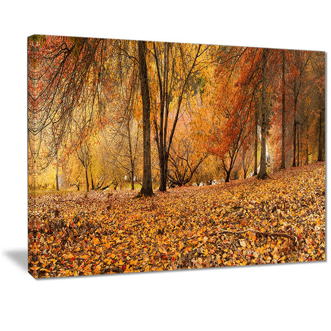 brown autumn panorama landscape photo canvas print PT7214