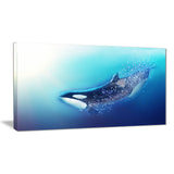 killer whale and sea animal digital art canvas print PT7471