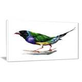 gould finch animal painting canvas art print PT7491