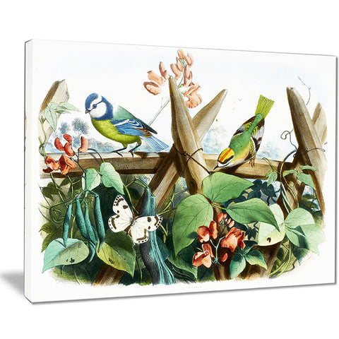 colorful birds sitting on branches animal canvas art print PT7510