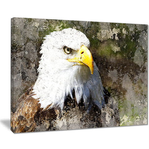 eagle head with textures animal digital art canvas print PT7952