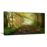 suns peeks into forest landscape photo canvas print PT8177