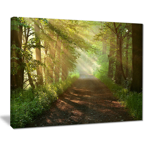suns peeks into forest landscape photo canvas print PT8177