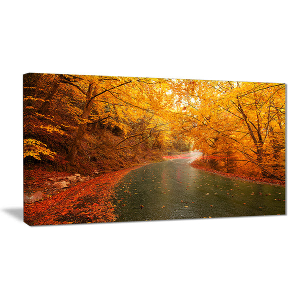 autumn light trails on road landscape photo canvas print PT8269