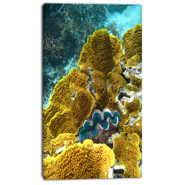 barrier reef underwater scene seascape photo canvas print PT8305