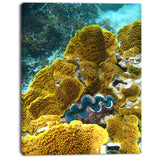 barrier reef underwater scene seascape photo canvas print PT8305