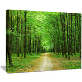 pathway in green forest landscape photo canvas print PT8333
