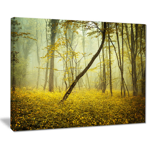 forest with yellow flowers landscape photo canvas print PT8440