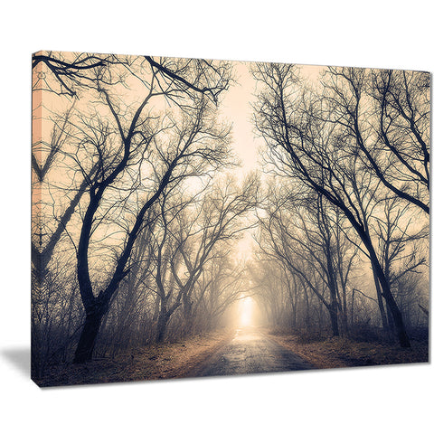 vintage autumn forest in fog landscape photo canvas print PT8456