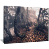 autumn foggy forest trees landscape photo canvas print PT8459