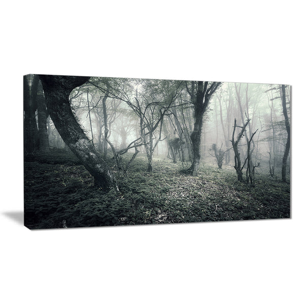 vintage forest filled with fog landscape photo canvas print PT8464