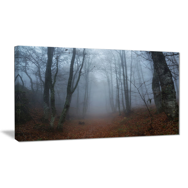 autumn rainy forest in crimea landscape photo canvas print PT8480