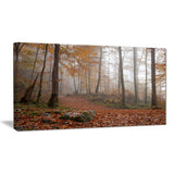 autumn forest in germany landscape photo canvas print PT8482